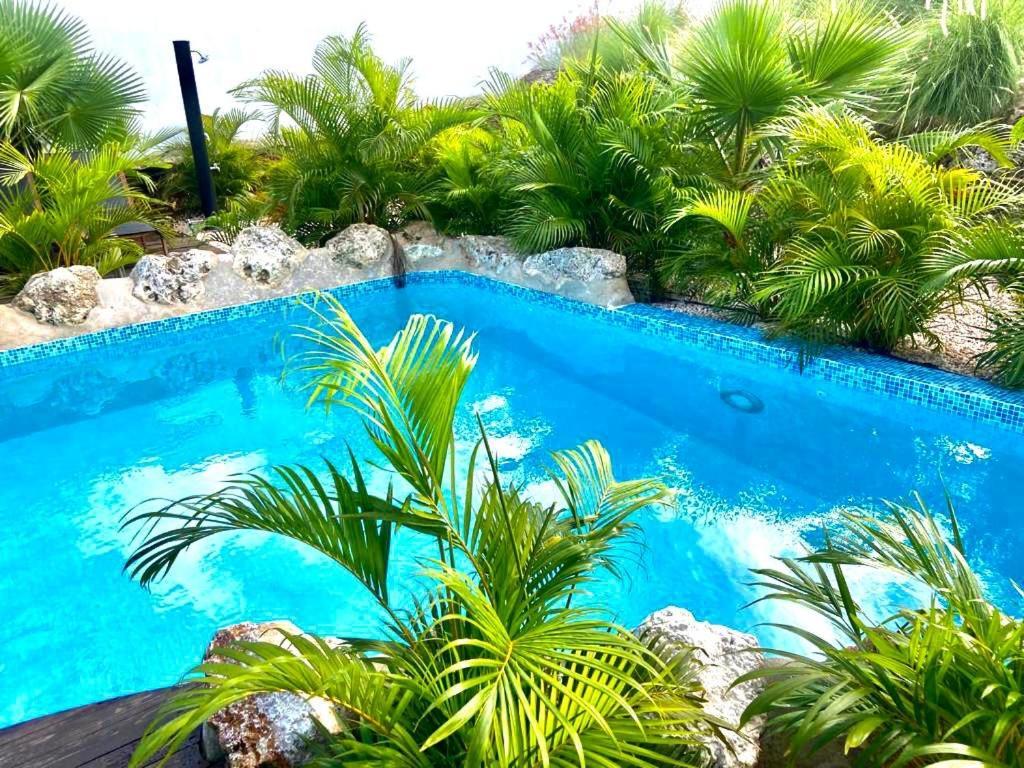 Neue Villa Tropic Paradise Willemstad Exterior foto