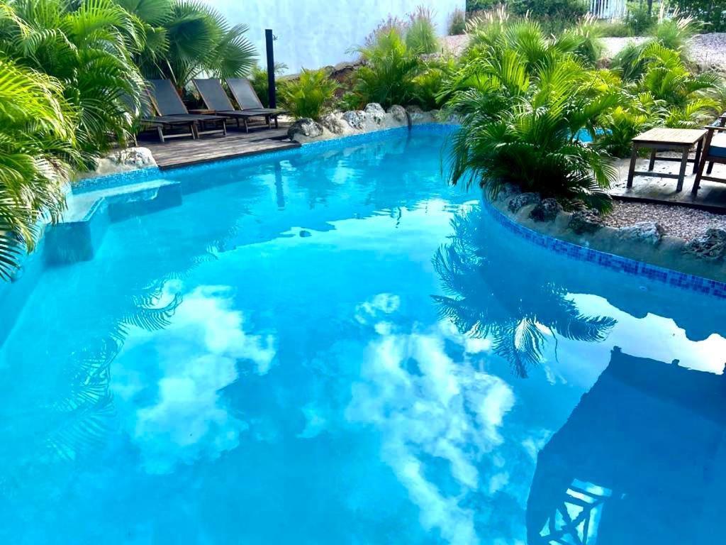 Neue Villa Tropic Paradise Willemstad Exterior foto